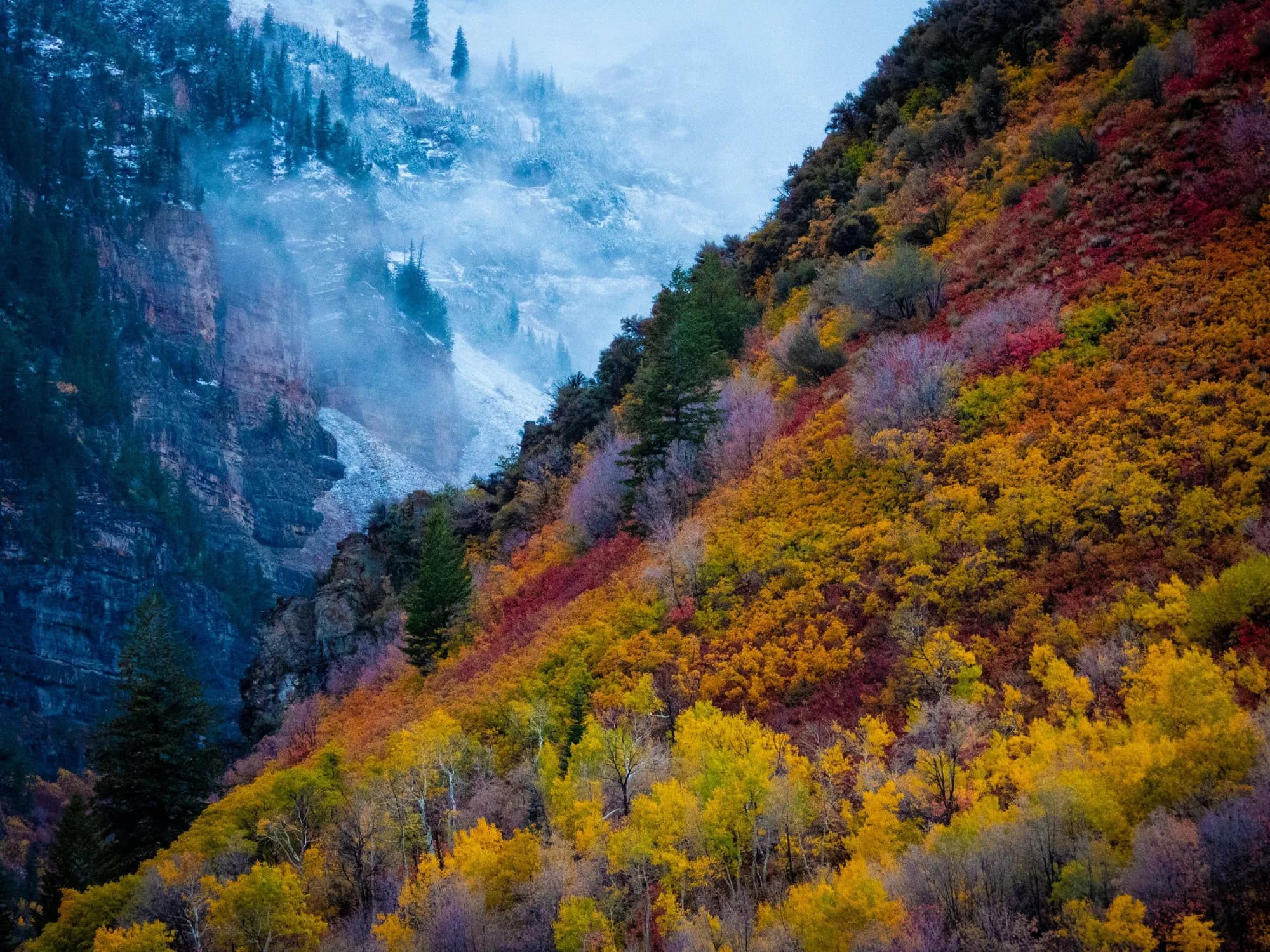 A mountainside turning gold and red as autumn arrives